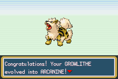 Shiny arcanine